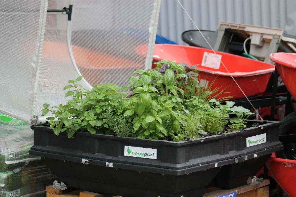 Pittwater Online News